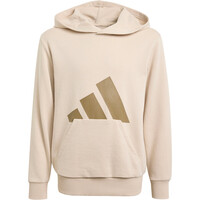 adidas sudadera niña Sudadera con capucha Essentials vista frontal