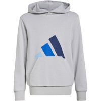 Sudadera con capucha Essentials