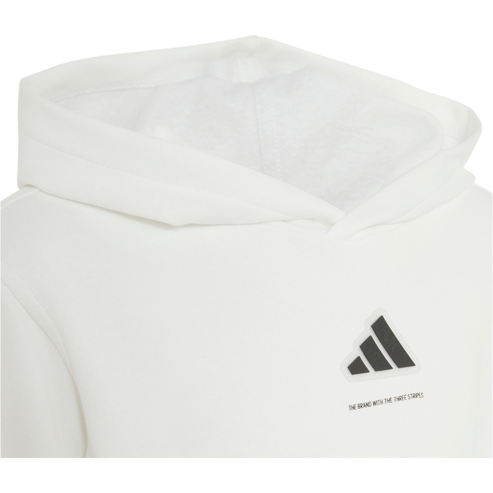 adidas sudadera niño B FL HD vista detalle