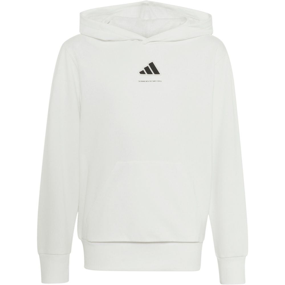 adidas sudadera niño B FL HD vista frontal