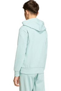 adidas sudadera niño BOYS SLOGAN FLEECE HOODIE vista trasera