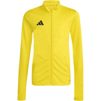 adidas sudadera niño ENTRADA26 04