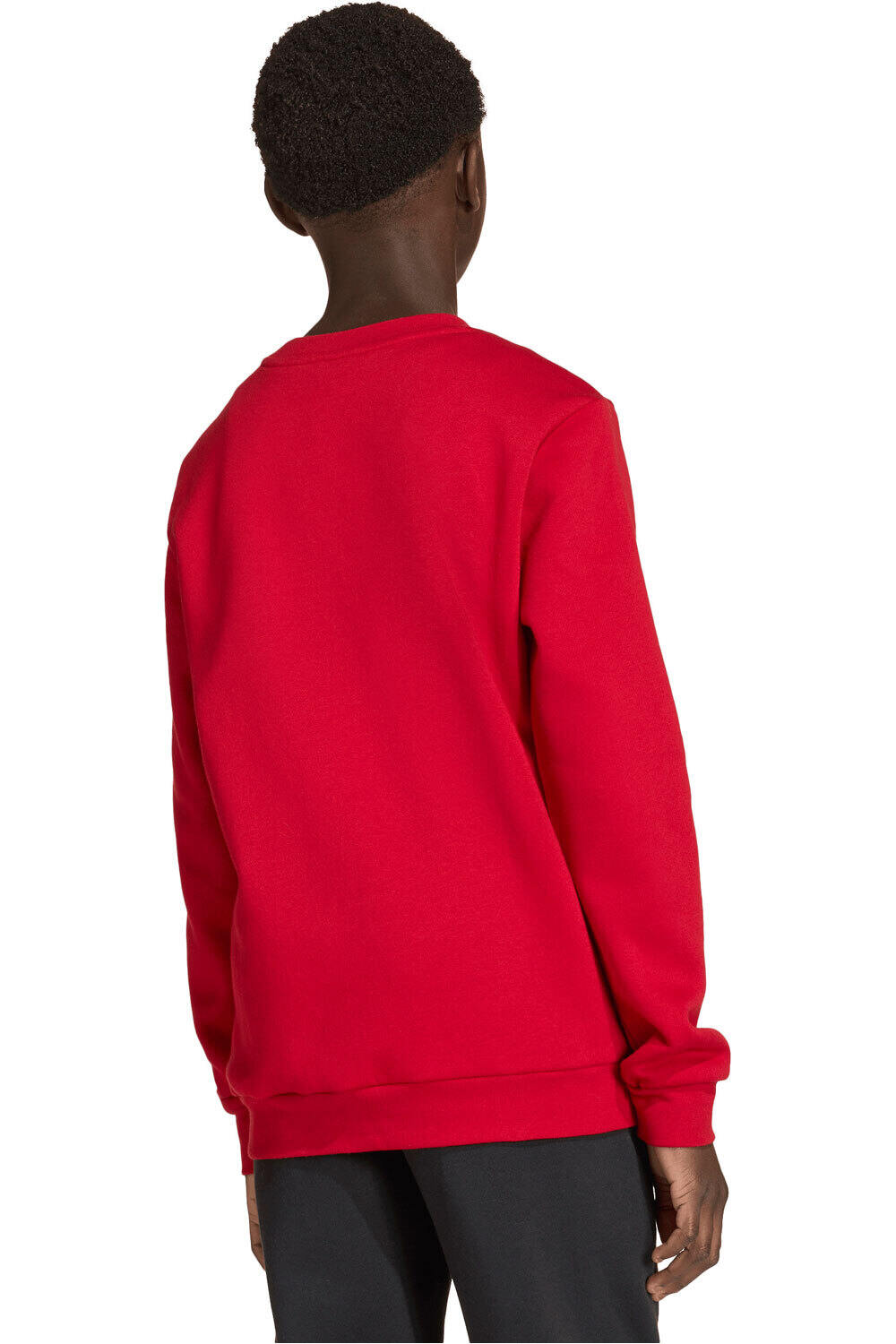 adidas sudadera niño ENTRADA26 JUNIOR vista trasera