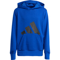 adidas sudadera niño Essentials (Nios) 04