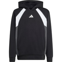 adidas sudadera niño J  CB FL HD 04