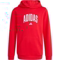 adidas sudadera niño J COLLEG HD vista detalle