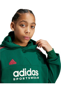 adidas sudadera niño J NP HOODIE vista detalle