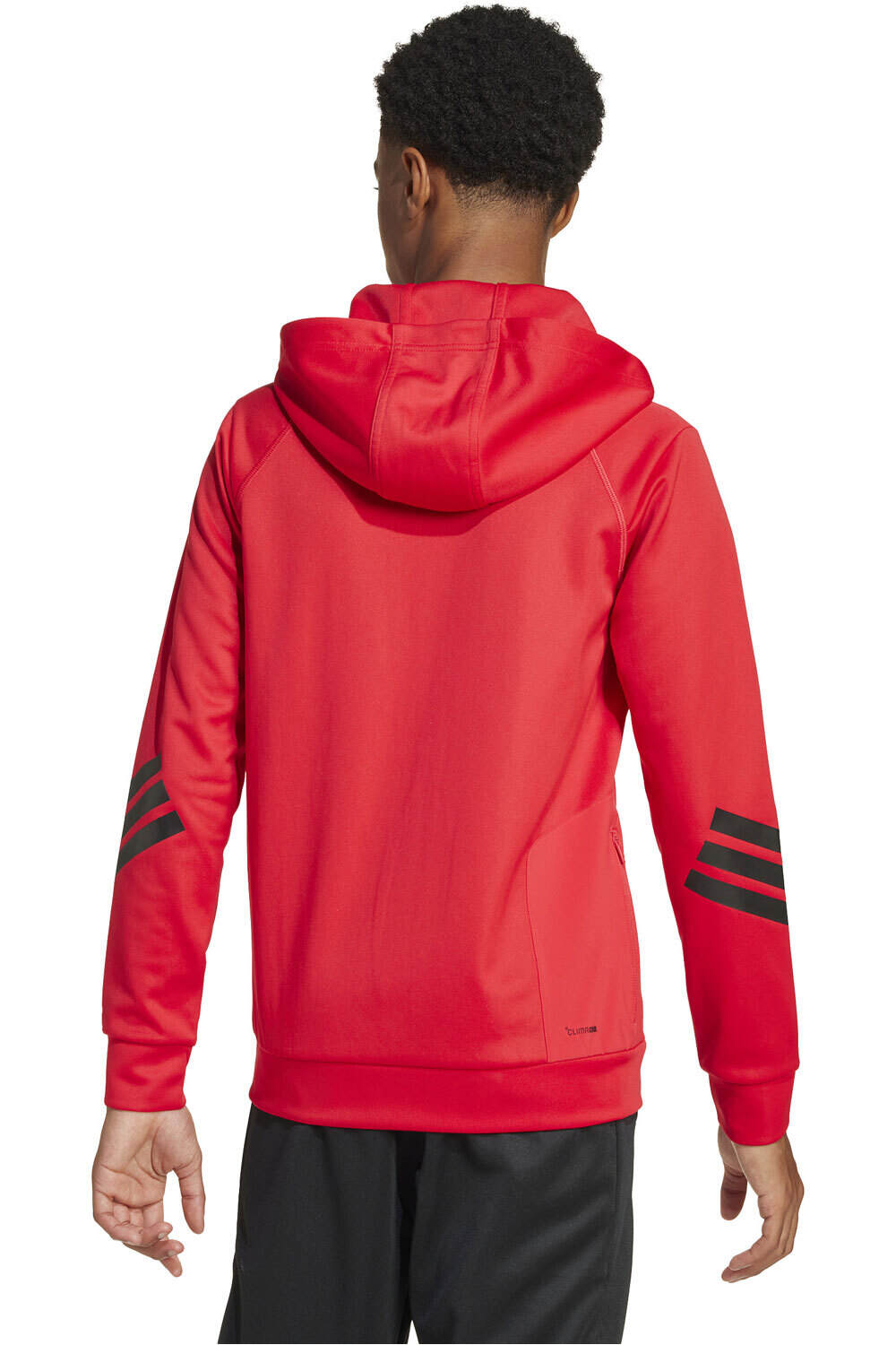 adidas sudadera niño J NXT HOODIE vista trasera