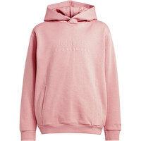 adidas sudadera niño J SZN GFX HD 04