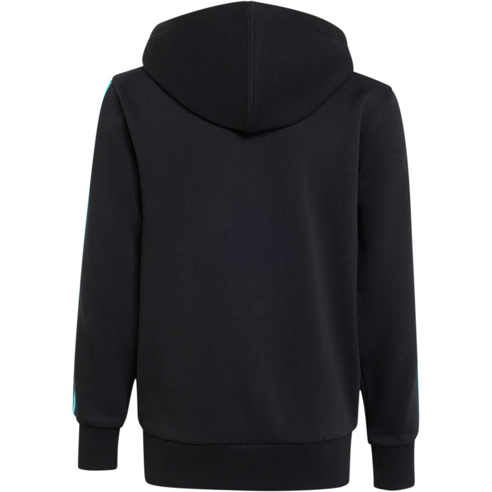 adidas sudadera niño MERCEDE-AMG PETRONAS F1 TEAM DNA vista trasera