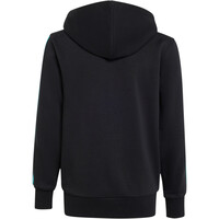 adidas sudadera niño MERCEDE-AMG PETRONAS F1 TEAM DNA vista trasera