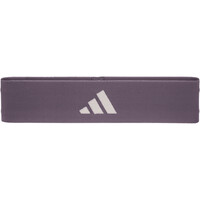 Resistance Band _ 1 Unidad