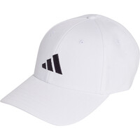 BASEBALL NEW LOGO