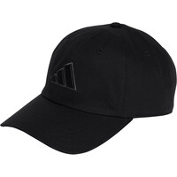 GORRA DAD CON LOGOTIPO DEL MISMO TONO