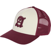 Gorra Trucker Estampado Estadio