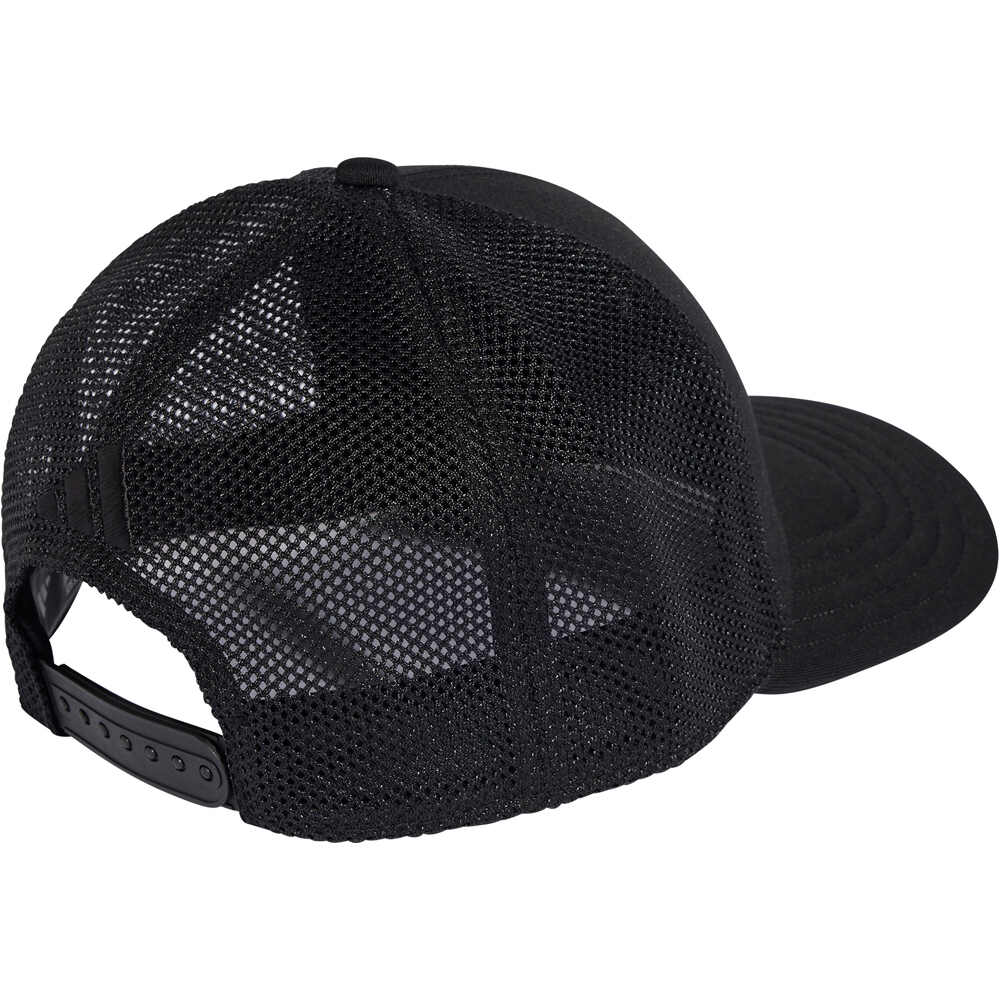 adidas visera lona MERCEDES - AMG PETRONAS FORMULA 1 TEAM NIGHT 01