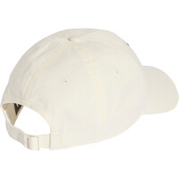 adidas visera lona SILVER ARROWS 01