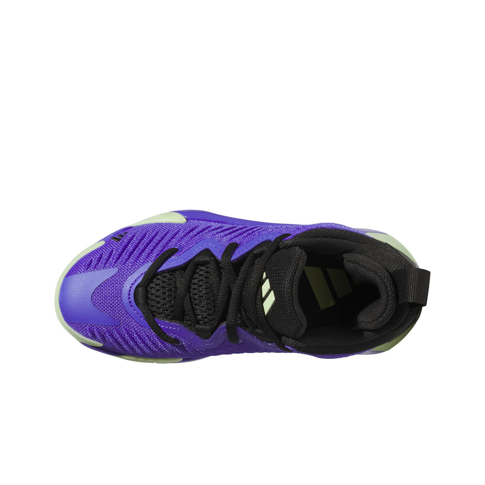 adidas Zap. Basket Baja Inf INITIATION J 05