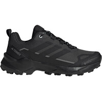 TERREX SKYCHASER AX5 GORE-TEX
