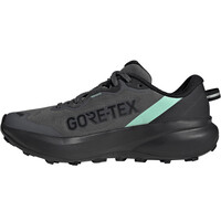 adidas zapatilla trekking mujer TERREX TRACEFINDER PLUS GTX W puntera
