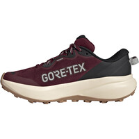 adidas zapatilla trekking mujer TERREX TRACEFINDER PLUS GTX W puntera