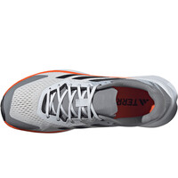 adidas zapatillas trail hombre TERREX SOULSTRIDE FLOW 05