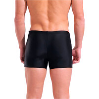 Arena bañador natación hombre ARENA STEPLOGO SWIM vista trasera