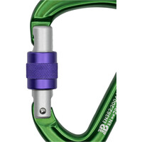 Beal mosquetón seguridad BE SAFE SCREW MATT 01