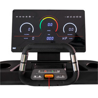 Bh cinta de correr RX9 03