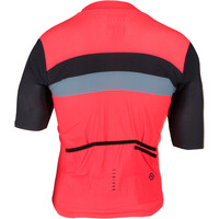 Bh maillot manga corta hombre MAILLOT PRO SHT SLV vista trasera