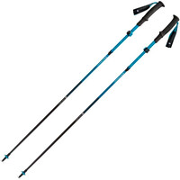 Black Diamond Baston Trail DISTANCE CARBON FLZ POLES vista frontal