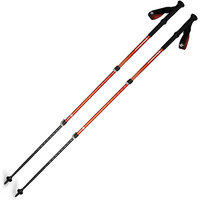 Black Diamond bastón travesía montaña _PAR_TRAIL BACK TREKKING POLES vista frontal
