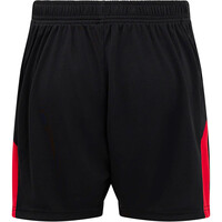 Castore pantalones fútbol oficiales niño ATHL.BILBAO 25 HOME INF SHORT vista trasera