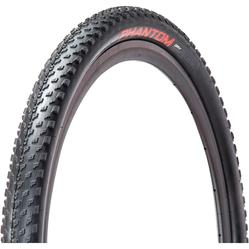 Chaoyan cubiertas mtb Cubierta Phantom Dry Elite TLR 29x2,30 vista frontal