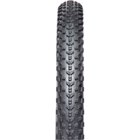 Chaoyan cubiertas mtb Cubierta Phantom Dry TLR 29x2,30 01