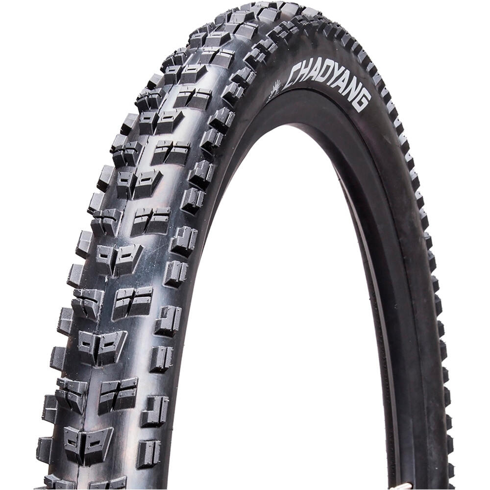 Chaoyan cubiertas mtb Cubierta Rock Wolf TLR 29x2,35 vista frontal