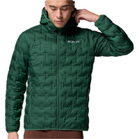 Delta Ridge II Down Hooded Jacket