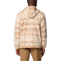 Columbia forro polar hombre Helvetia II Printed Hoodie vista trasera