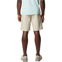Columbia pantalón corto montaña hombre Washed Out Short vista trasera