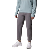 Essential Hike AY Pant