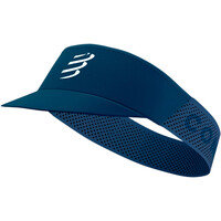 PRO RACING VISOR