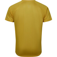 Dare2b camiseta montaña manga corta hombre Accelerate Tee 04