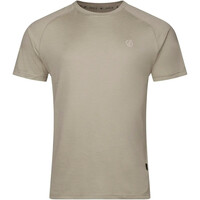 Dare2b camiseta montaña manga corta hombre Persist Tee vista frontal