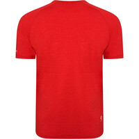 Dare2b camiseta montaña manga corta hombre Persist Tee vista trasera