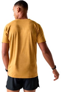 Dare2b camiseta montaña manga corta hombre PersistTee vista trasera