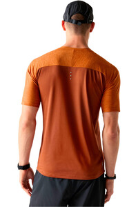Dare2b camiseta montaña manga corta hombre PowerUpTee vista trasera