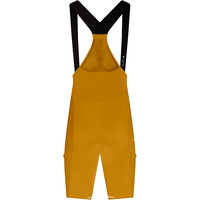 Endura culotte corto hombre AllTrack Ride Bibshort vista trasera