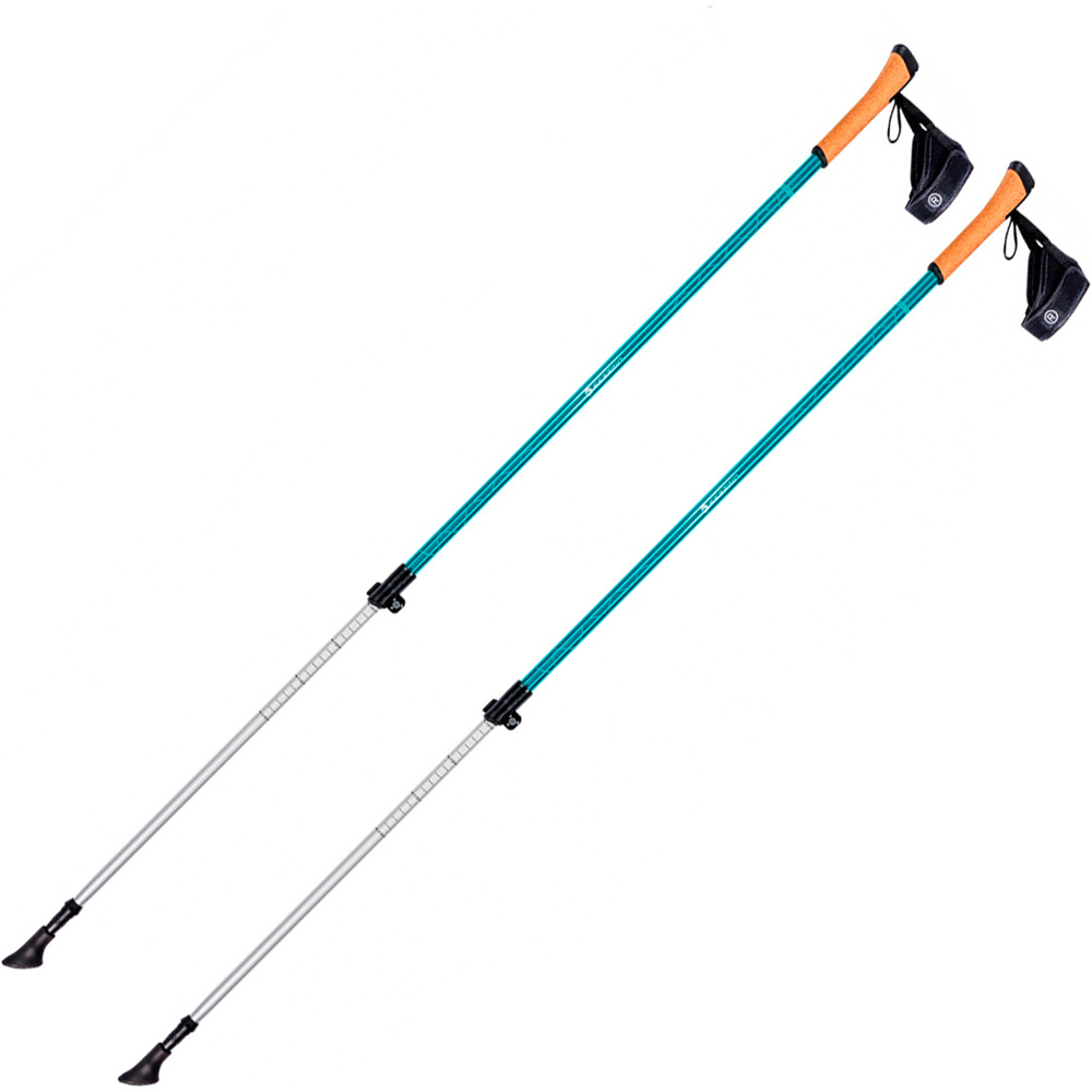 Ferrino bastón travesía montaña PAR- STICK NORDICK STEP-IN vista frontal