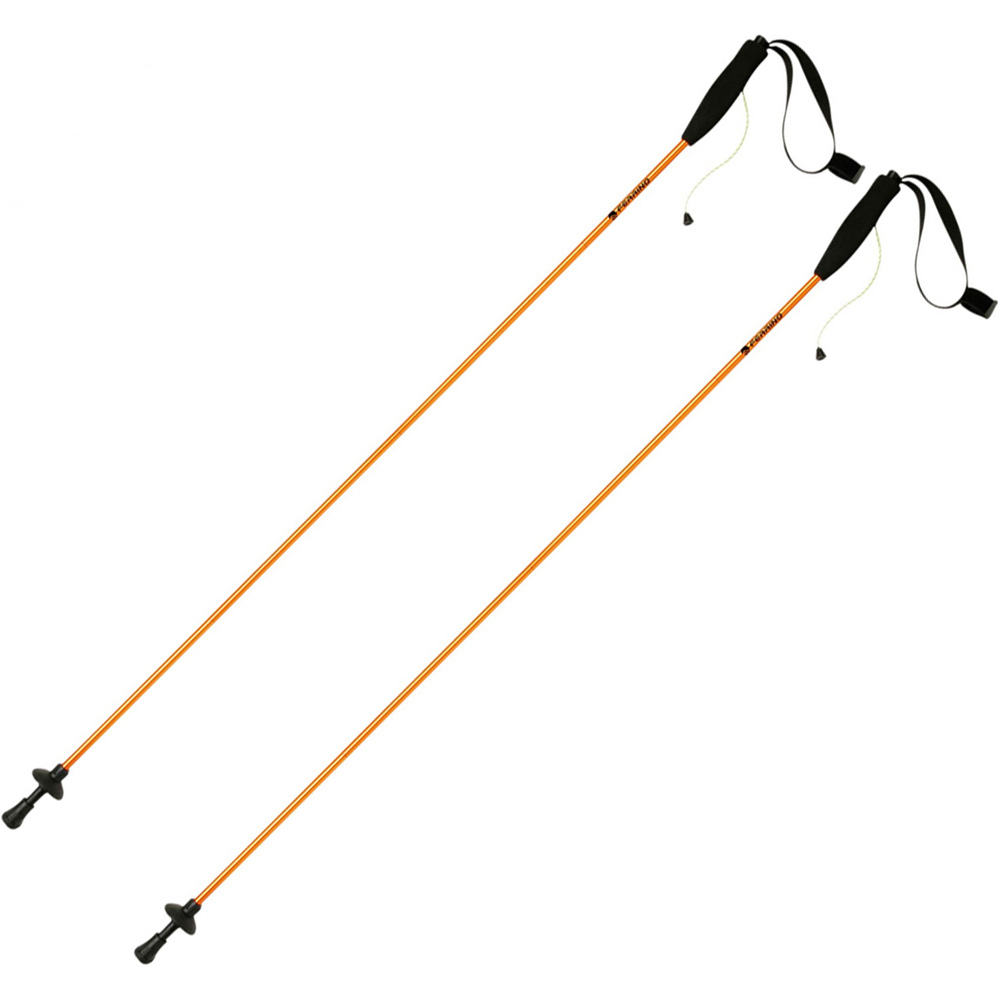 Ferrino bastón travesía montaña PAR-STICK EIGER CM.115 vista frontal