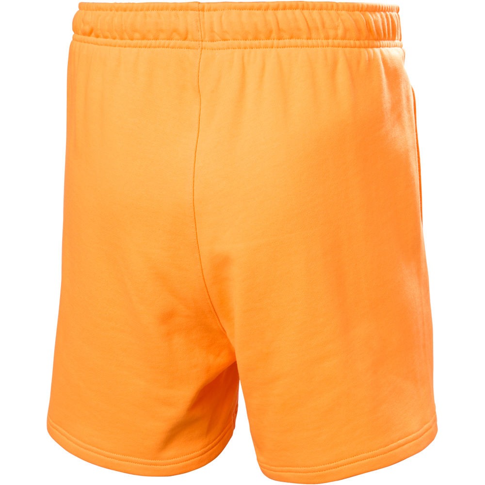 Helly Hansen bermudas hombre HH TERRY LOOP 6 SHORTS 04